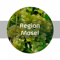 Region Mosel
